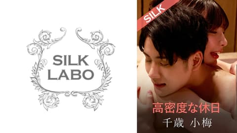 220SILKS-107 High-density holiday